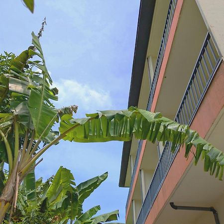 Garden Palace Downtown Koror Kültér fotó